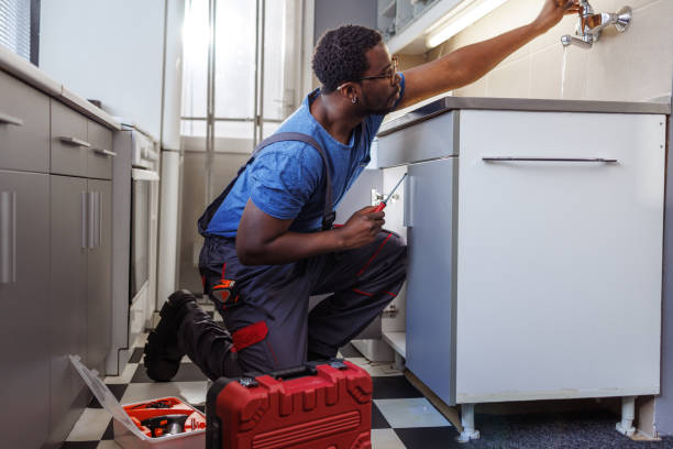 Best Commercial Plumbing Services  in Beecher, MI